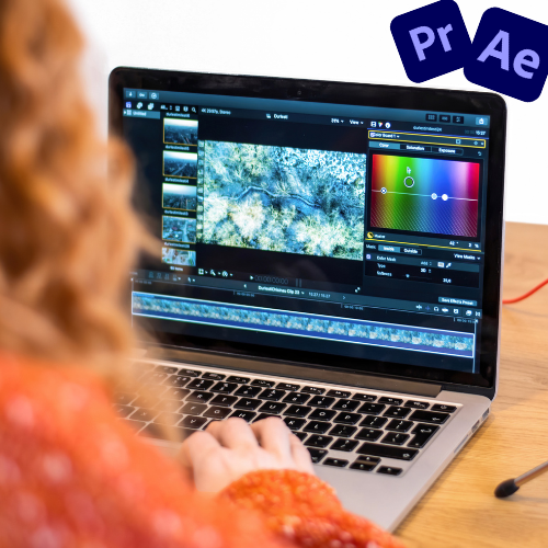 Formation-montage-video-en-ligne-formation-monteur-video-a-distance-Easy-Learn-1